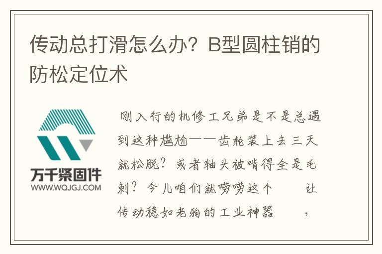 傳動總打滑怎么辦？B型圓柱銷的防松定位術(shù)
