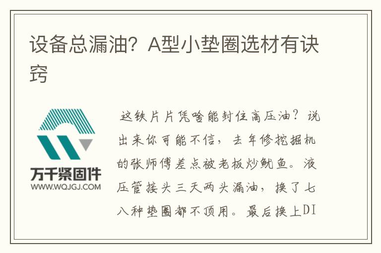 設(shè)備總漏油？A型小墊圈選材有訣竅