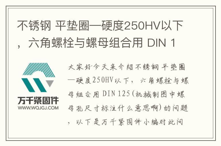 不銹鋼 平墊圈—硬度250HV以下,六角螺栓與螺母組合用 DIN 125